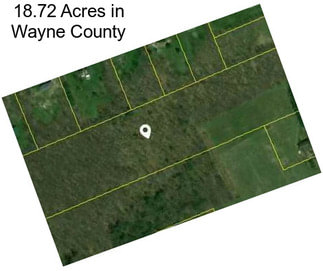 18.72 Acres in Wayne County
