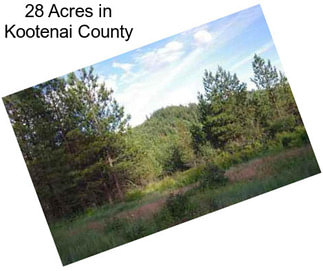 28 Acres in Kootenai County