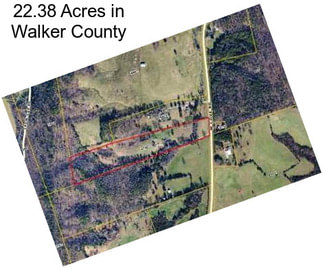 22.38 Acres in Walker County