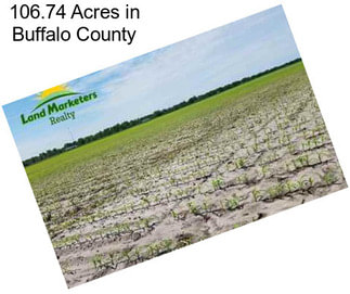 106.74 Acres in Buffalo County