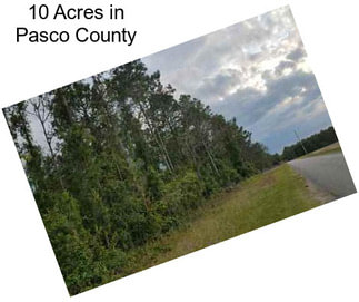 10 Acres in Pasco County