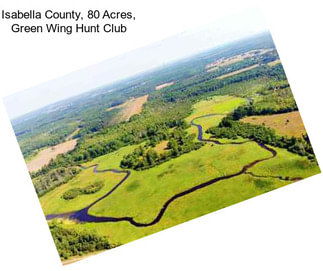 Isabella County, 80 Acres, Green Wing Hunt Club