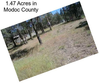 1.47 Acres in Modoc County