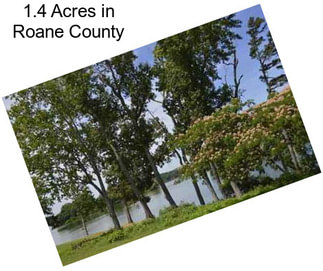 1.4 Acres in Roane County