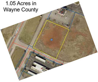 1.05 Acres in Wayne County