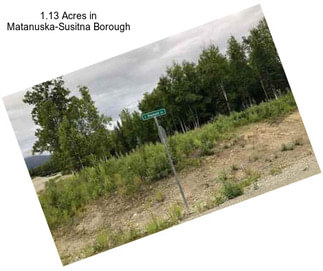 1.13 Acres in Matanuska-Susitna Borough