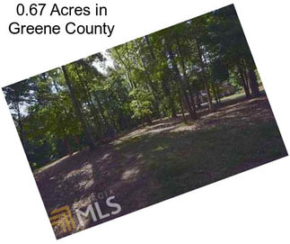 0.67 Acres in Greene County