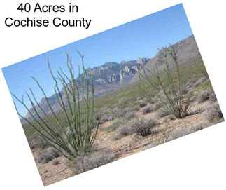 40 Acres in Cochise County