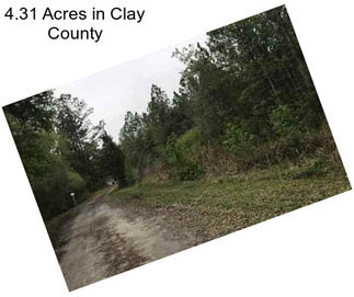 4.31 Acres in Clay County