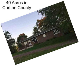40 Acres in Carlton County