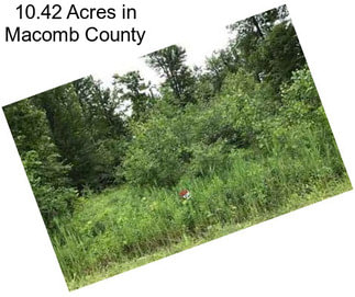 10.42 Acres in Macomb County