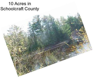 10 Acres in Schoolcraft County