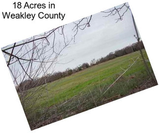 18 Acres in Weakley County