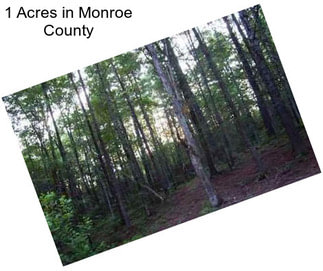 1 Acres in Monroe County