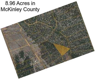 8.96 Acres in McKinley County