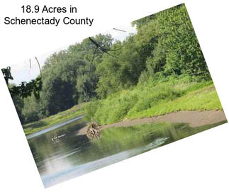 18.9 Acres in Schenectady County