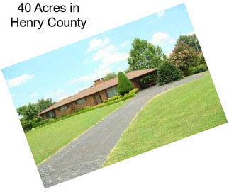 40 Acres in Henry County