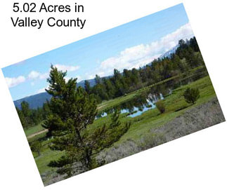 5.02 Acres in Valley County