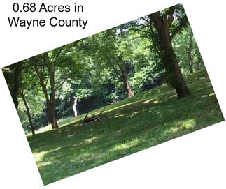 0.68 Acres in Wayne County