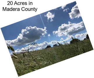 20 Acres in Madera County