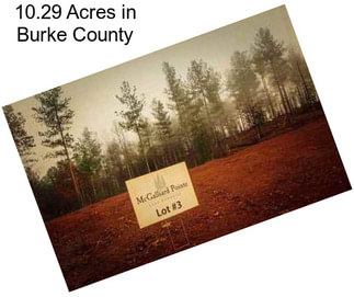 10.29 Acres in Burke County