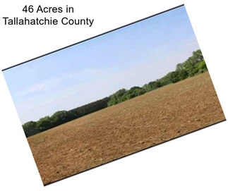 46 Acres in Tallahatchie County