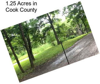 1.25 Acres in Cook County