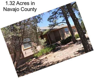 1.32 Acres in Navajo County