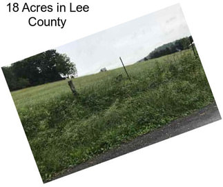 18 Acres in Lee County