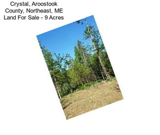 Crystal, Aroostook County, Northeast, ME Land For Sale - 9 Acres
