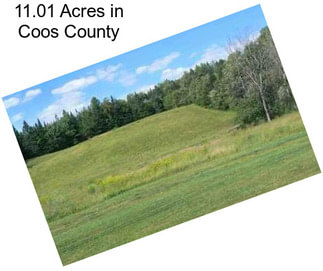 11.01 Acres in Coos County