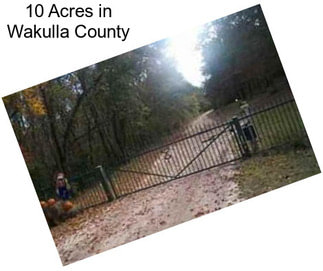 10 Acres in Wakulla County