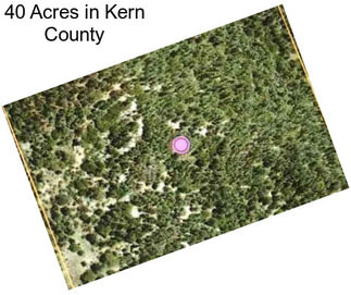 40 Acres in Kern County