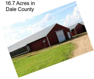 16.7 Acres in Dale County