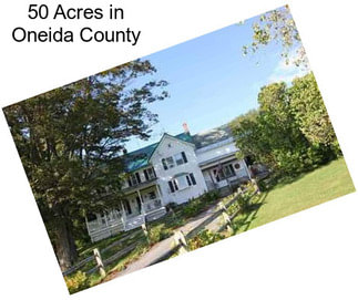 50 Acres in Oneida County