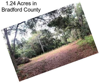 1.24 Acres in Bradford County