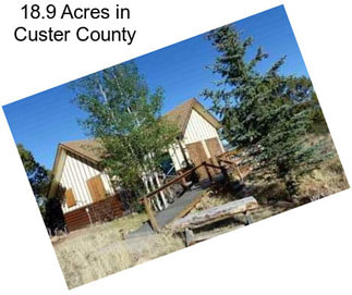 18.9 Acres in Custer County