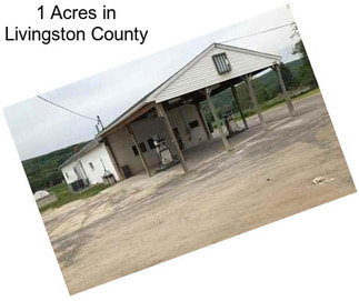 1 Acres in Livingston County