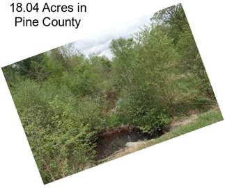 18.04 Acres in Pine County