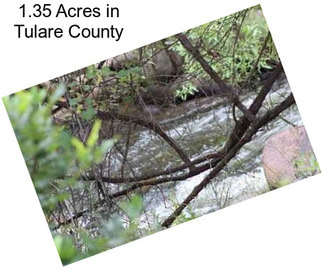 1.35 Acres in Tulare County