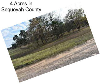 4 Acres in Sequoyah County