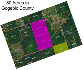 80 Acres in Gogebic County