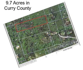 9.7 Acres in Curry County