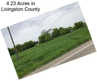 4.23 Acres in Livingston County