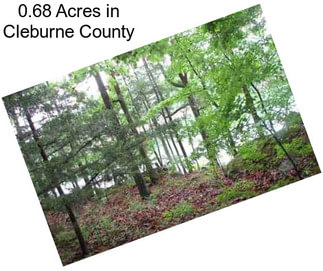 0.68 Acres in Cleburne County