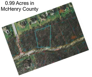 0.99 Acres in McHenry County