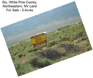 Ely, White Pine County, Northeastern, NV Land For Sale - 5 Acres