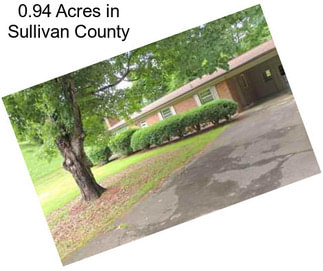 0.94 Acres in Sullivan County