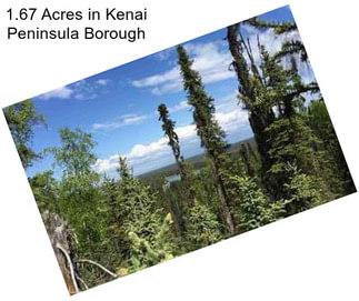 1.67 Acres in Kenai Peninsula Borough