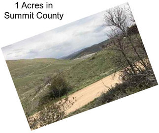 1 Acres in Summit County